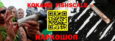тгк Кингисепп