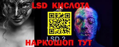 тгк Кингисепп