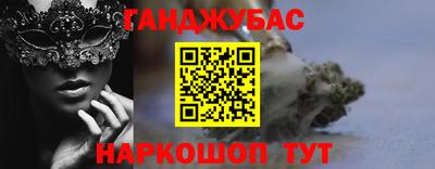 тгк Кингисепп