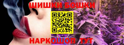 тгк Кингисепп