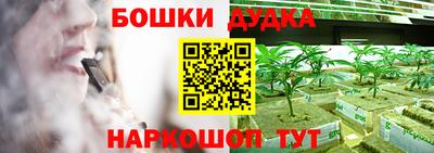 тгк Кингисепп