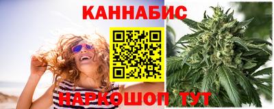 тгк Кингисепп