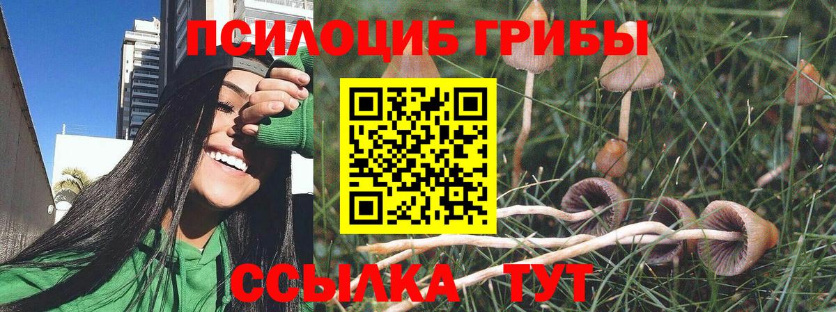 Галлюциногенные грибы Magic Shrooms Грязи